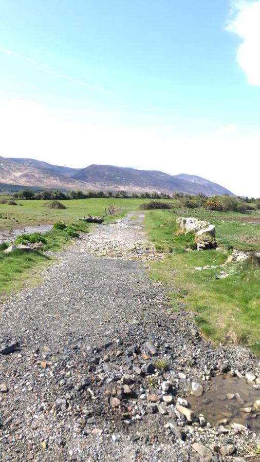 Neadin Beag Apartment Tralee Luaran gambar